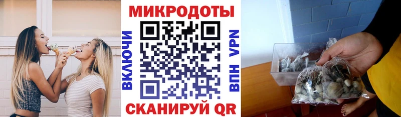 Псилоцибиновые грибы Psilocybine cubensis KRAKEN ТОР Мосальск